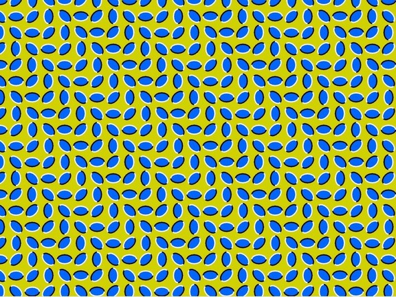 illusion2.jpg