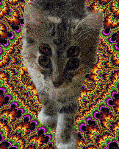 d.gif